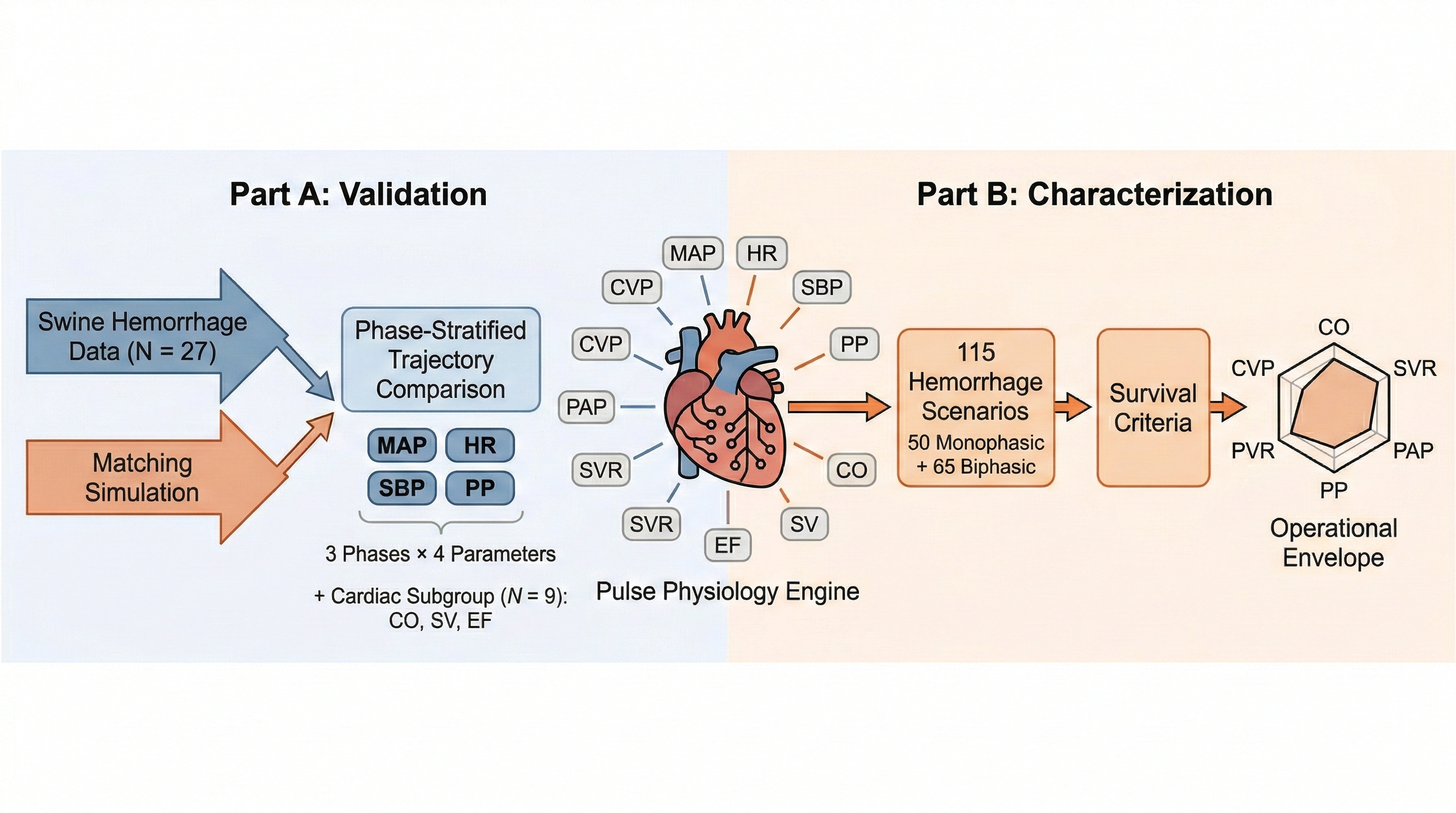 Pulse Physiology