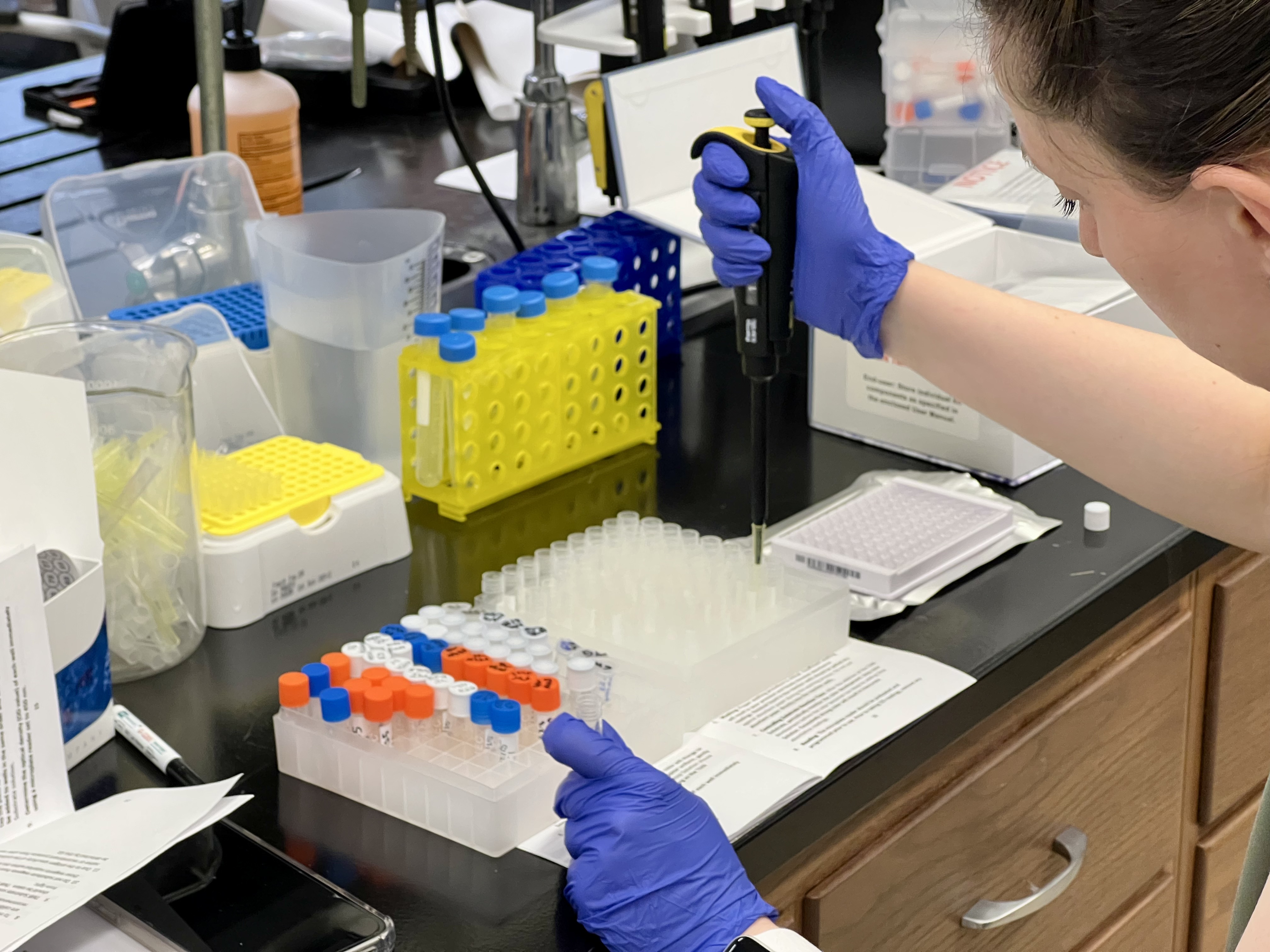 ELISA analysis