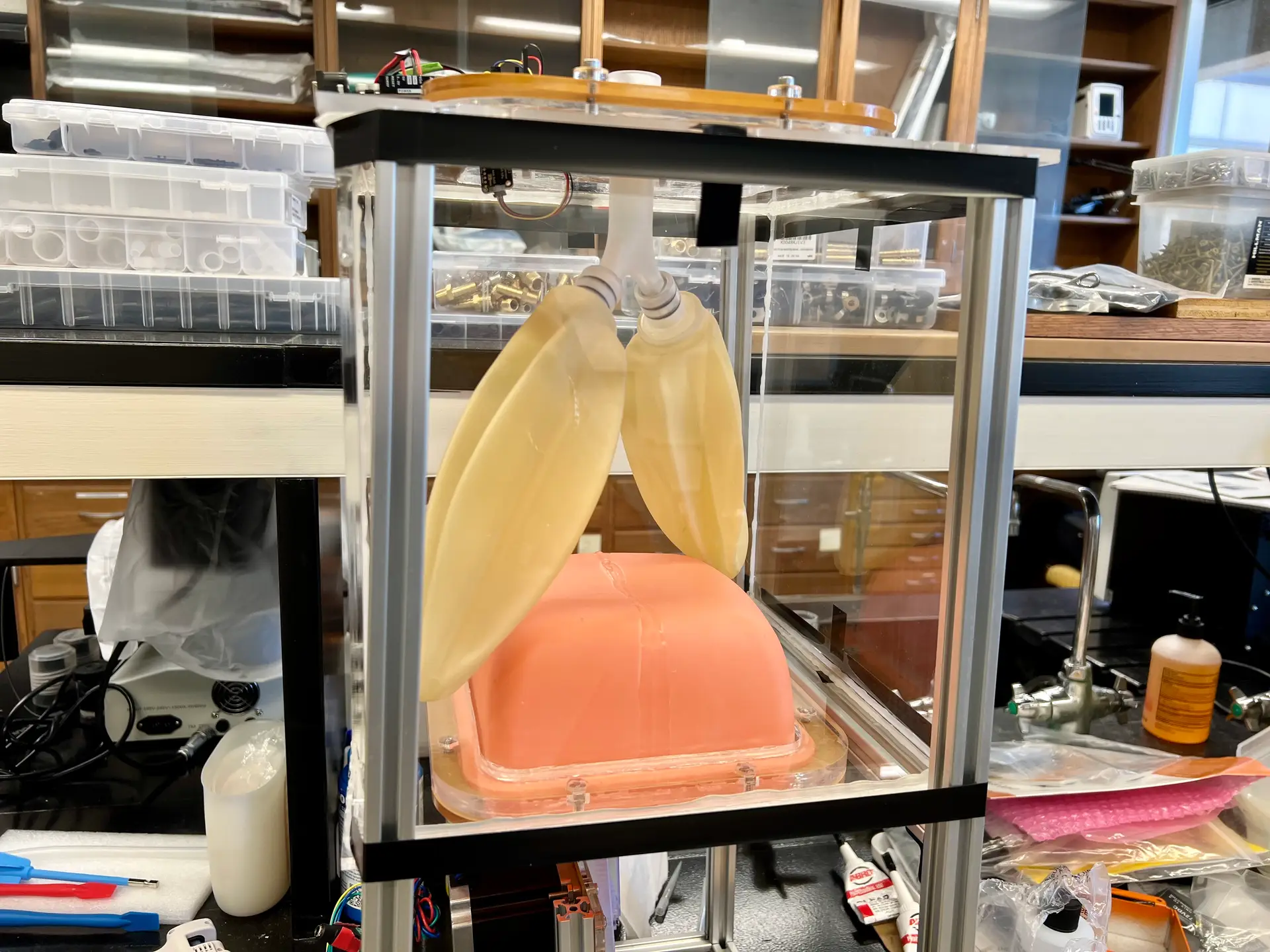 Engineering and Optimization of Organ Support Technologies